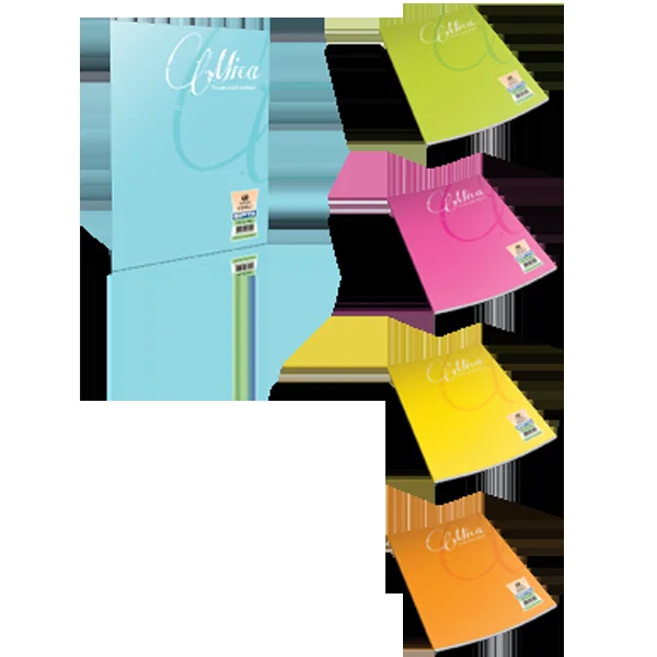 Gıpta Defter (Dikişli ) Mica Plastik Kapak Kareli 40 YP A5 1710