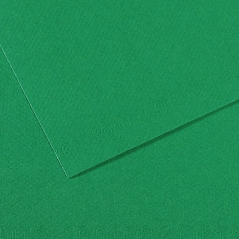 Canson Fon Kartonu (Dokulu) Mı-Teıntes Sh Canmt 50x65 160 GR Grn 575 31032S114