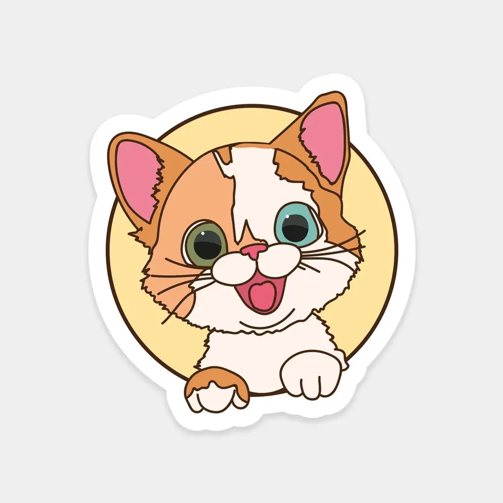 Ekstrafix The Sticker Story Tss0178