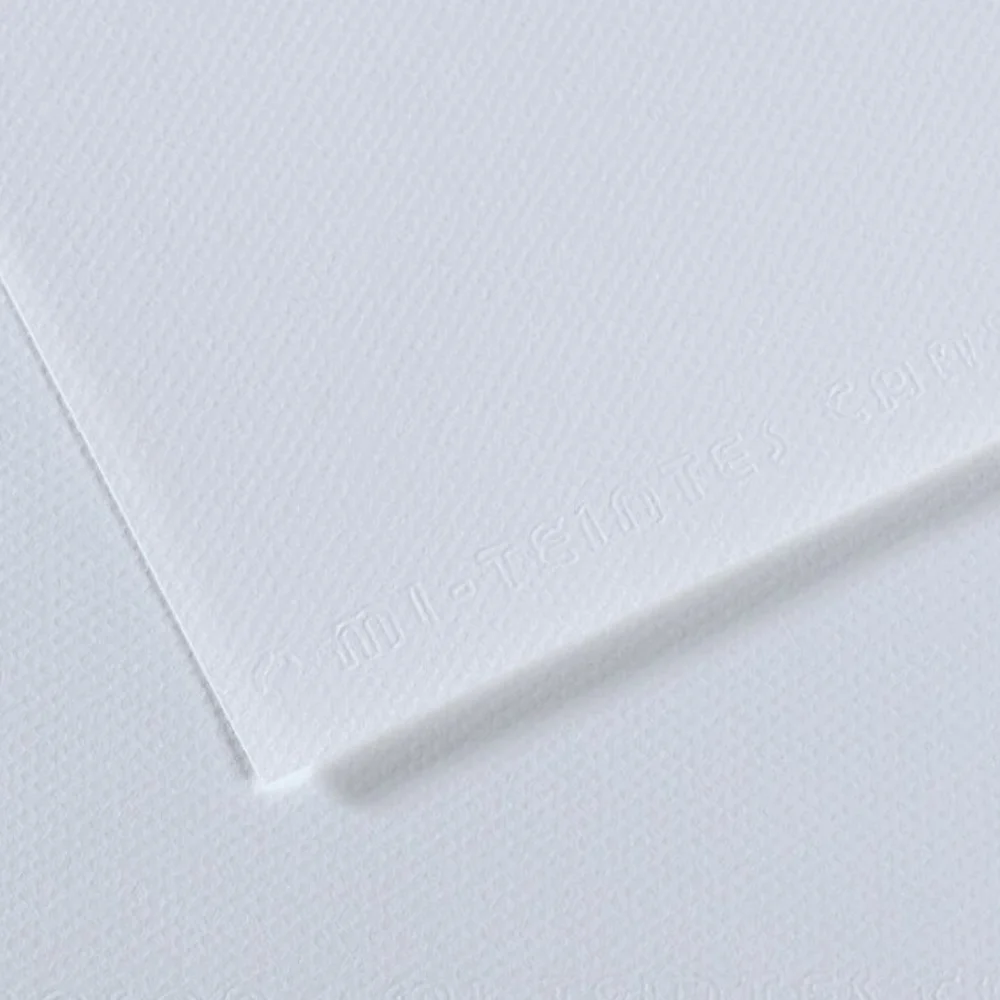 Canson Fon Kartonu (Dokulu) Mı-Teıntes Sh Canmt 50x65 160 GR Blu 181