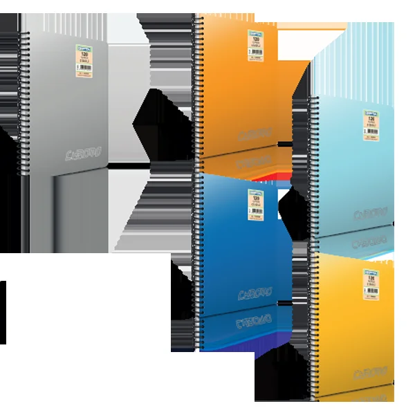 Gıpta Spiralli Defter Chromo Plastik Kapak Kareli 100 YP A4 1492