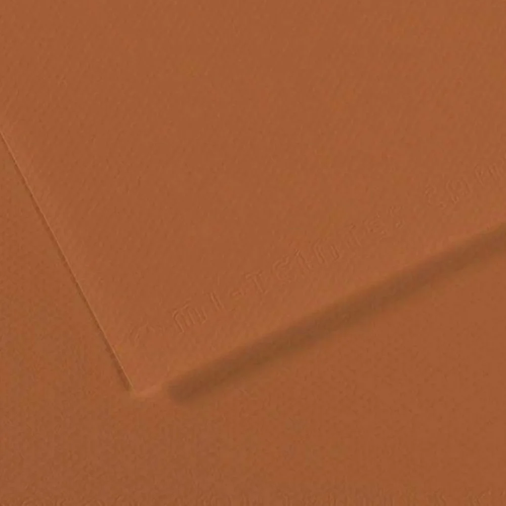Canson Fon Kartonu (Dokulu) Mı-Teıntes Sh Canmt 50x65 160 GR Brown 187