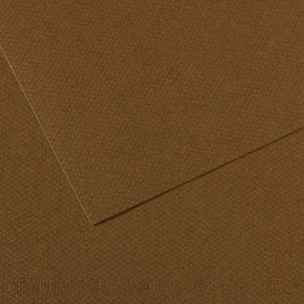 Canson Fon Kartonu (Dokulu) Mı-Teıntes Sh Canmt 50X65 160G Brown 501 31033S122