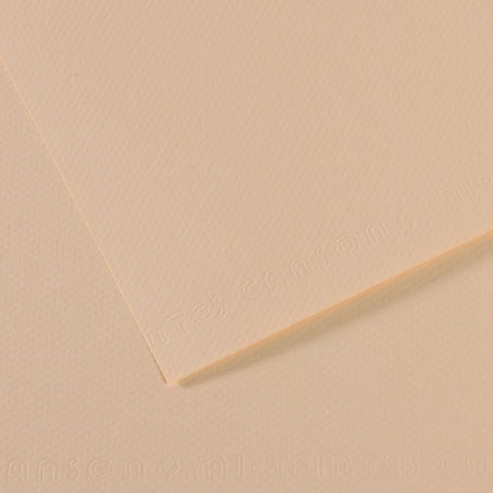 Canson Fon Kartonu (Dokulu) Mı-Teıntes 10 Lu 50x65 160 GR 112 Ylw 31032S093