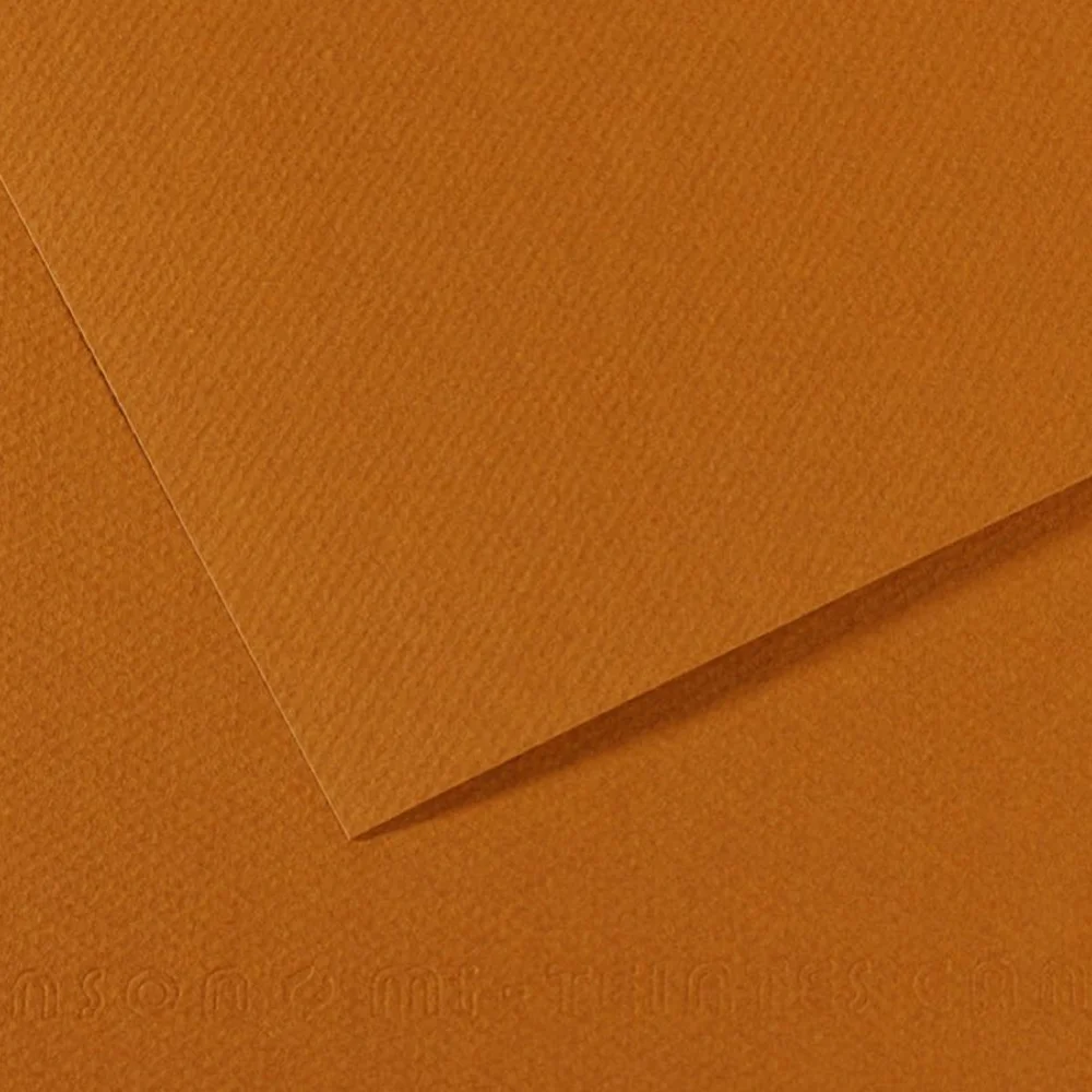 Canson Fon Kartonu (Dokulu) Mı-Teıntes Sh Canmt 50X65 160G Brown 502 31032S109