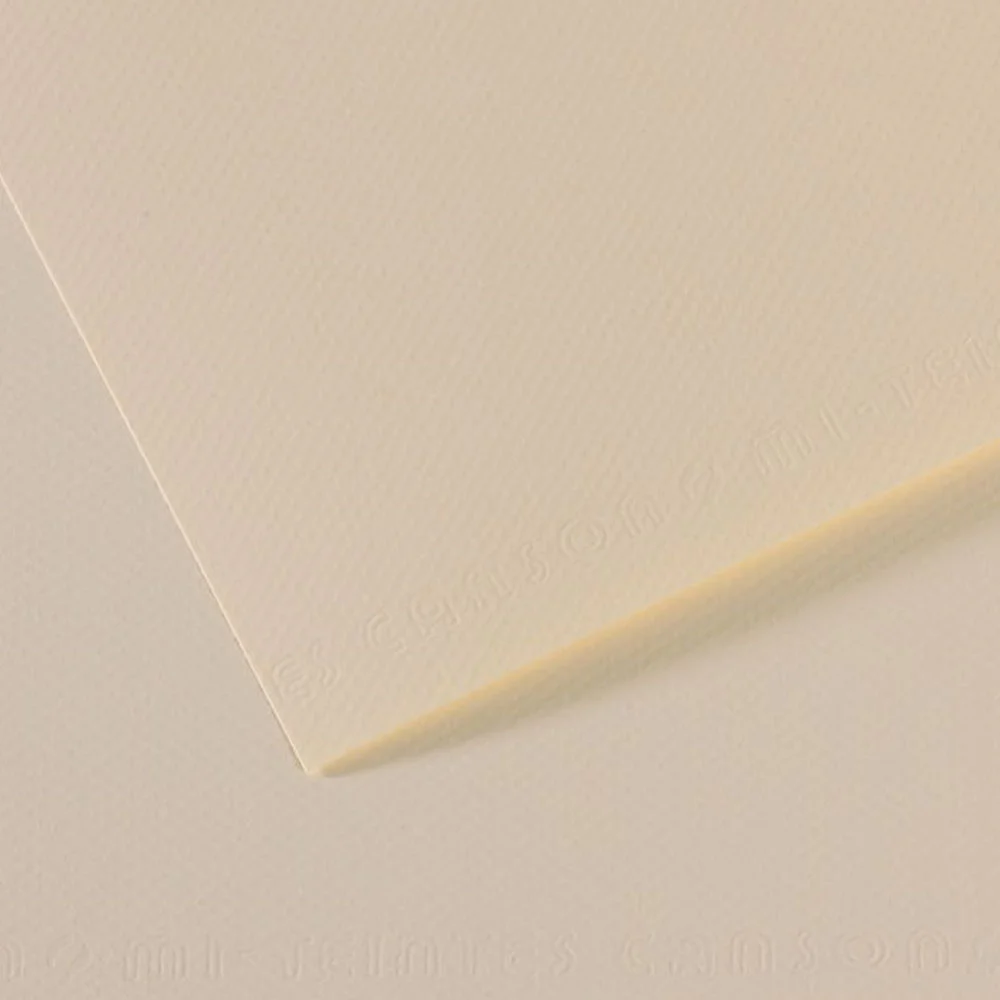 Canson Fon Kartonu (Dokulu) Mı-Teıntes Sh Canmt 50x65 160 GR Ylw 110