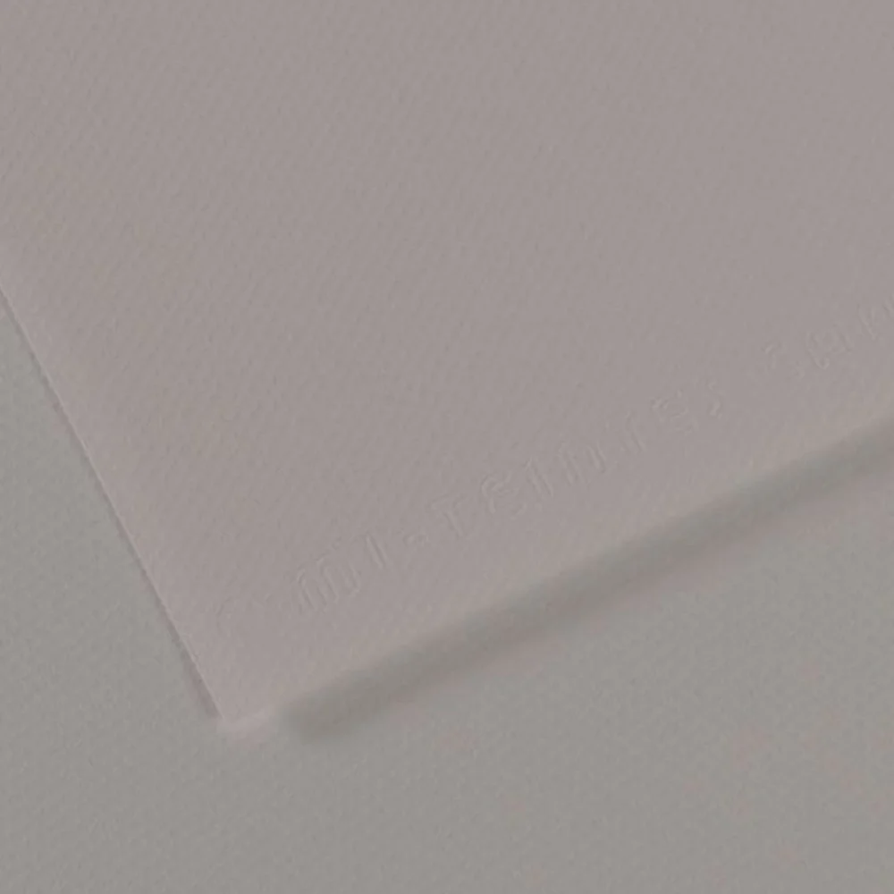 Canson Fon Kartonu (Dokulu) Mı-Teıntes Sh Canmt 50x65 160 GR Grey 186