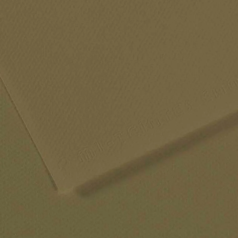 Canson Fon Kartonu (Dokulu) Mı-Teıntes Sh Canmt 50x65 160 GR Grn 191