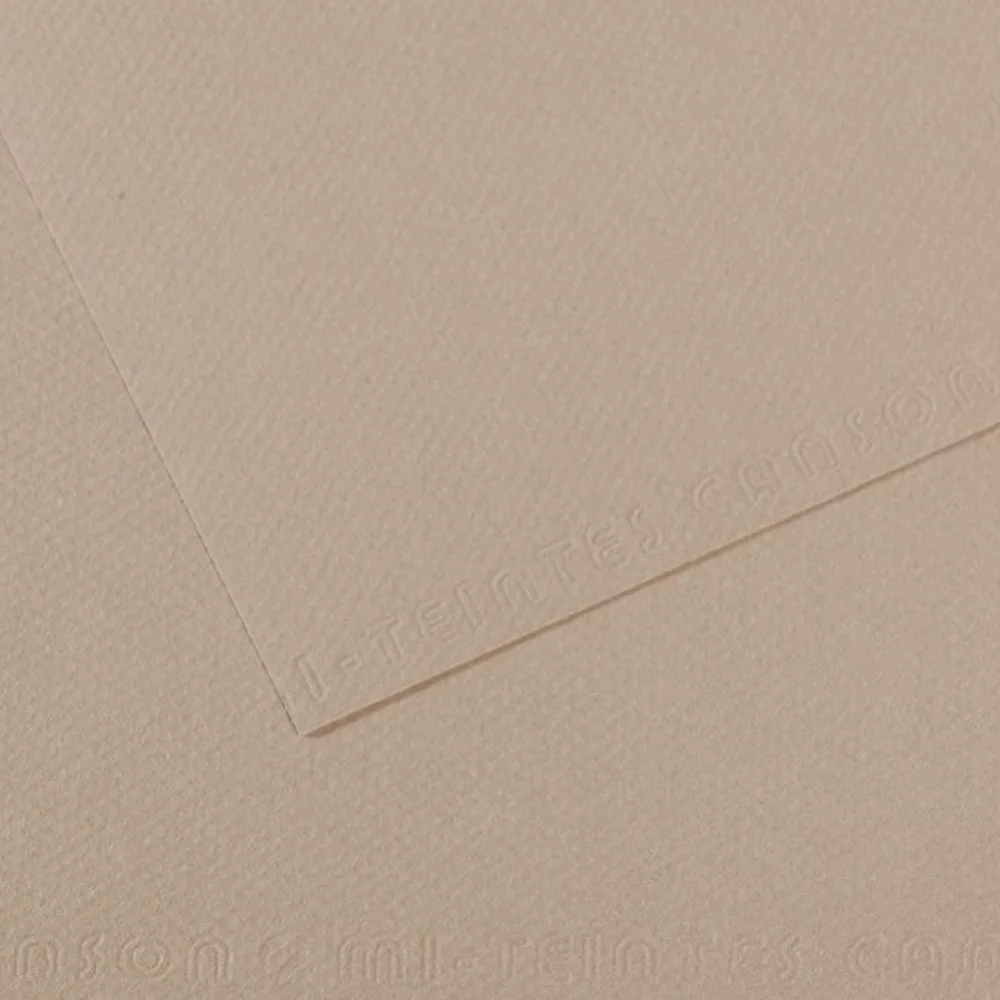 Canson Fon Kartonu (Dokulu) Mı-Teıntes Sh Canmt 50x65 160 GR Grey 122